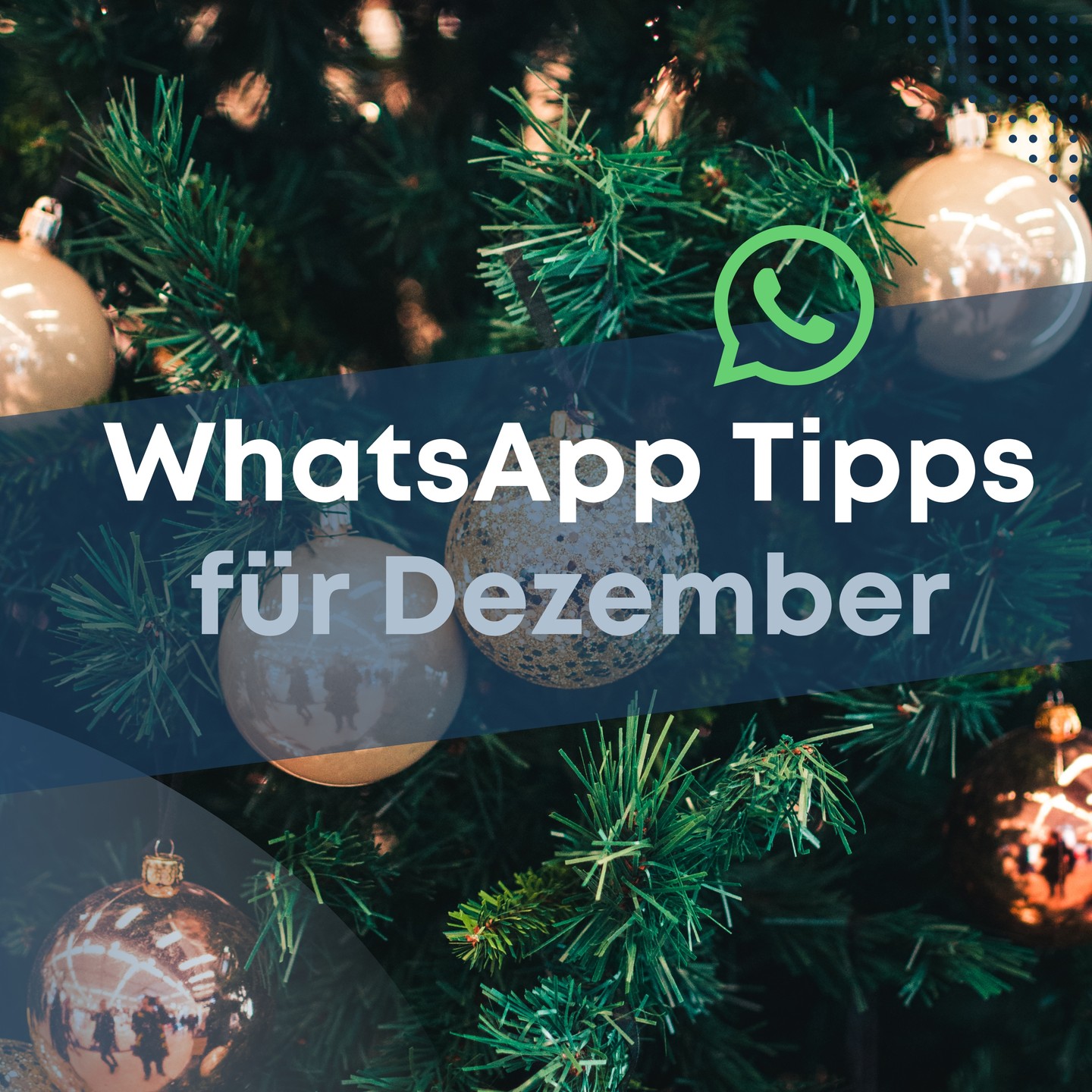💬✨ WhatsApp Update Dezember: Weihnachts-Edition!
Diese neuen Features machen deine Feiertage entspannter:
🎤 Voice Messages transkribieren – perfekt für heimliche Geschenkplanung
🚫 Silencer für Gruppen – Familiengruppen bleiben friedlich 😉
💫 Profil-Foto nur für ausgewählte Kontakte – Privatsphäre unter’m Baum
#AllnetFlat #GBplus #Telekom #ImmerVerbunden