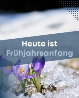 Digitaler Frühjahrsputz fürs Smartphone

Der Frühling ist da 🌼
Zeit für frische Luft – auch auf deinem Smartphone!

Mal ehrlich:
📸 4.732 Fotos
📲 89 ungelesene WhatsApp-Chats
🔋 Akku nachmittags bei 12 %

Kommt dir bekannt vor?

Mach jetzt deinen digitalen Frühjahrsputz:
✔️ Alte Apps löschen
✔️ Fotos sichern (Cloud statt Chaos)
✔️ WhatsApp-Chats archivieren
✔️ Software-Update durchführen
✔️ Akku-Check machen