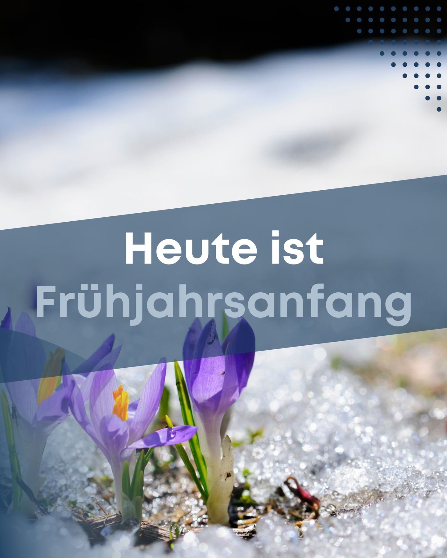 Digitaler Frühjahrsputz fürs Smartphone

Der Frühling ist da 🌼
Zeit für frische Luft – auch auf deinem Smartphone!

Mal ehrlich:
📸 4.732 Fotos
📲 89 ungelesene WhatsApp-Chats
🔋 Akku nachmittags bei 12 %

Kommt dir bekannt vor?

Mach jetzt deinen digitalen Frühjahrsputz:
✔️ Alte Apps löschen
✔️ Fotos sichern (Cloud statt Chaos)
✔️ WhatsApp-Chats archivieren
✔️ Software-Update durchführen
✔️ Akku-Check machen